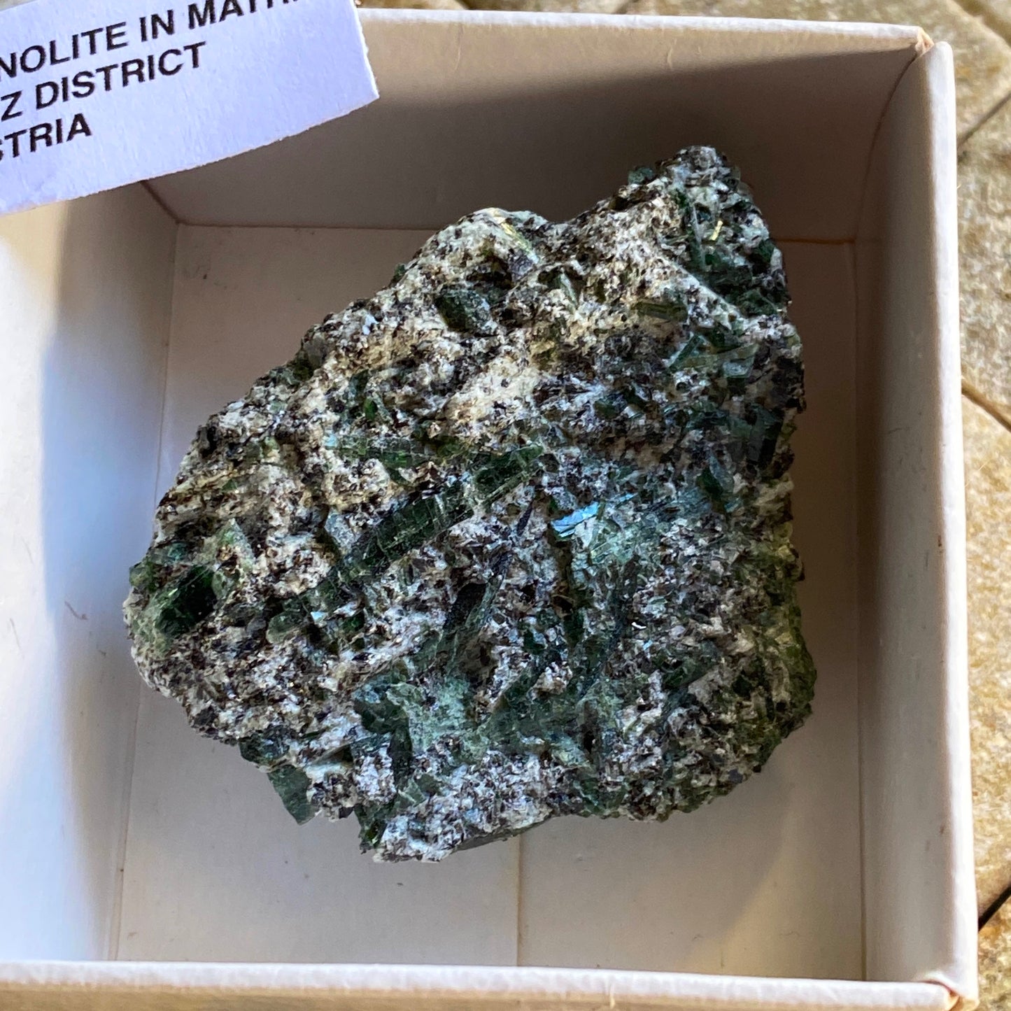 ACTINOLITE IN MATRIX, LIENZ DISTRICT, TYROL, AUSTRIA 36g MF1668