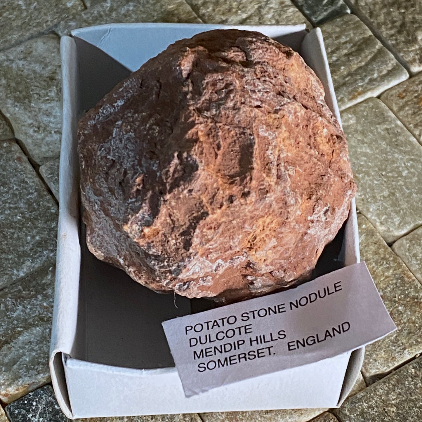 POTATO STONE NODULE FROM DULCOTE, SOMERSET, ENGLAND 195g MF1687