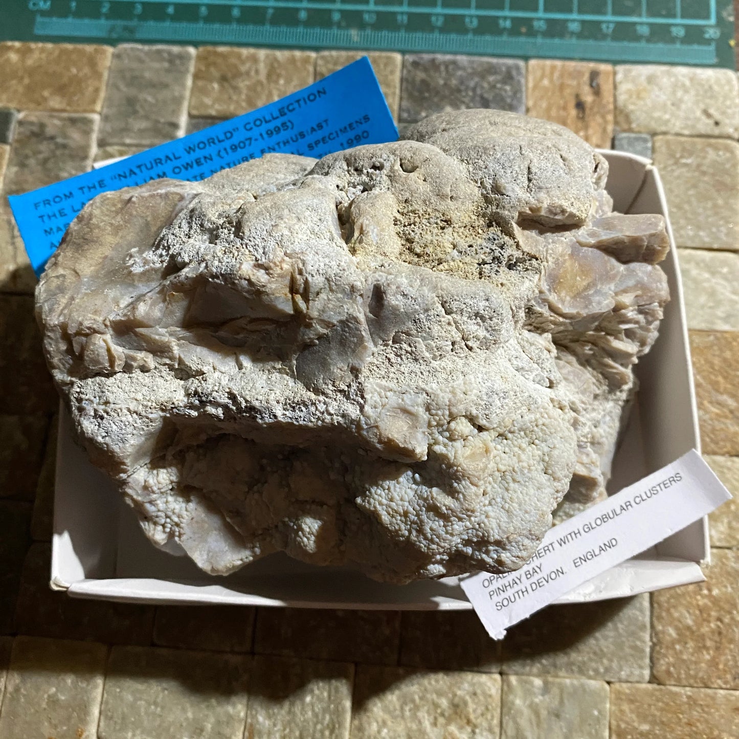 PETROLEO OPALINO CON RACIMOS GLOBULARES DE DEVON. 865g MF1332