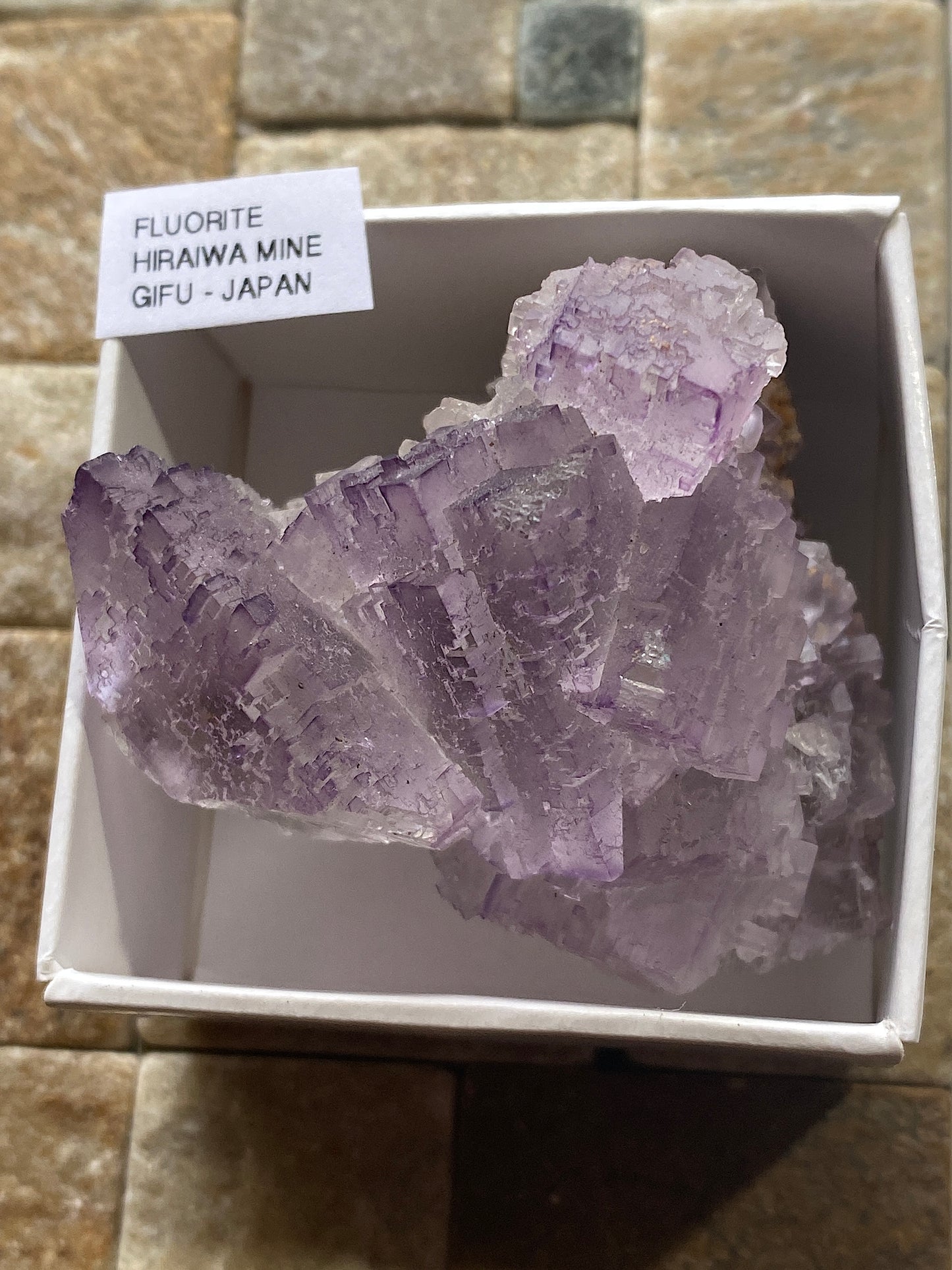 FLUORITE : HIRAIWA MINE, SEKI, GIFU DISTRICT, JAPAN 86g MF4985