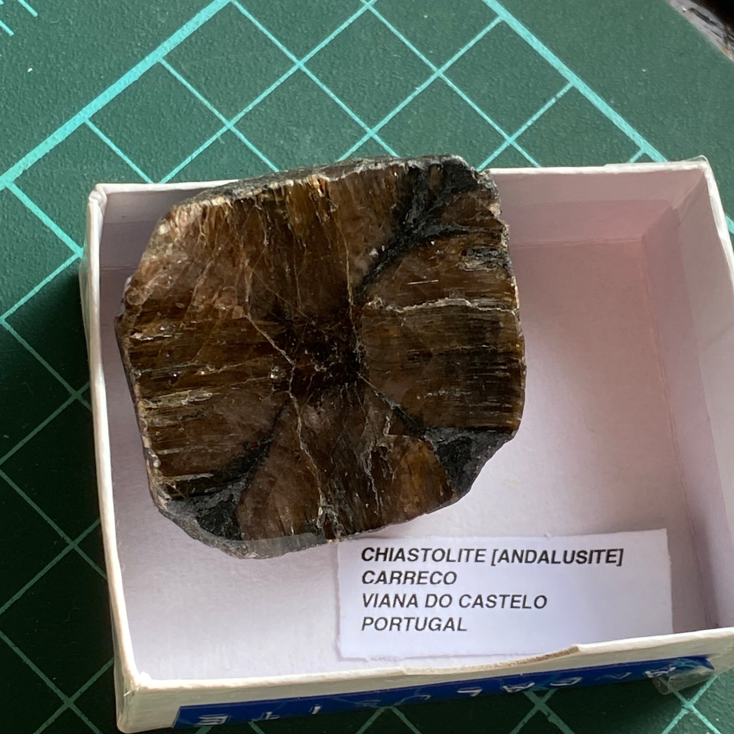 CHIASTOLITE ( ANDALUSITE) - CARRECO, VIANA DO CASTELO. PORTUGAL 28g. MF4376