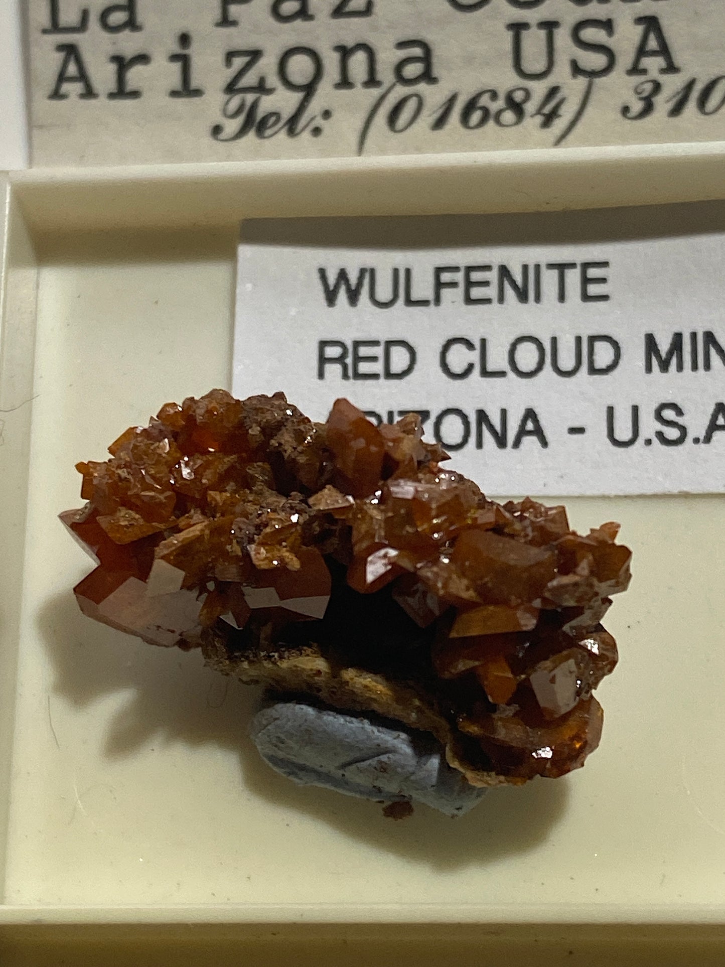 WULFENITE : RED CLOUD MINE, LA PAZ COUNTY, ARIZONA, U.S.A. MF4991