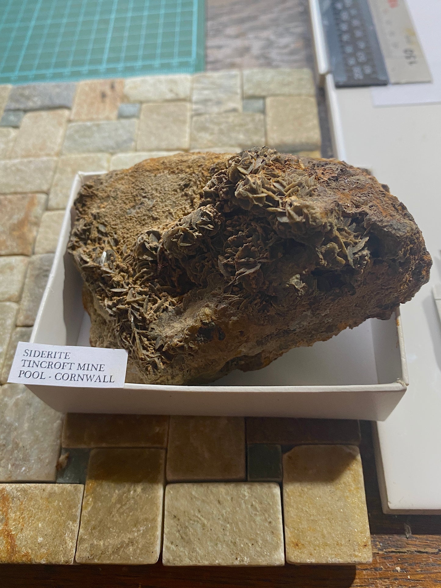 SIDERITE : TINCROFT MINE, POOL, CARN BRAE, CORNWALL 583g. MF5016