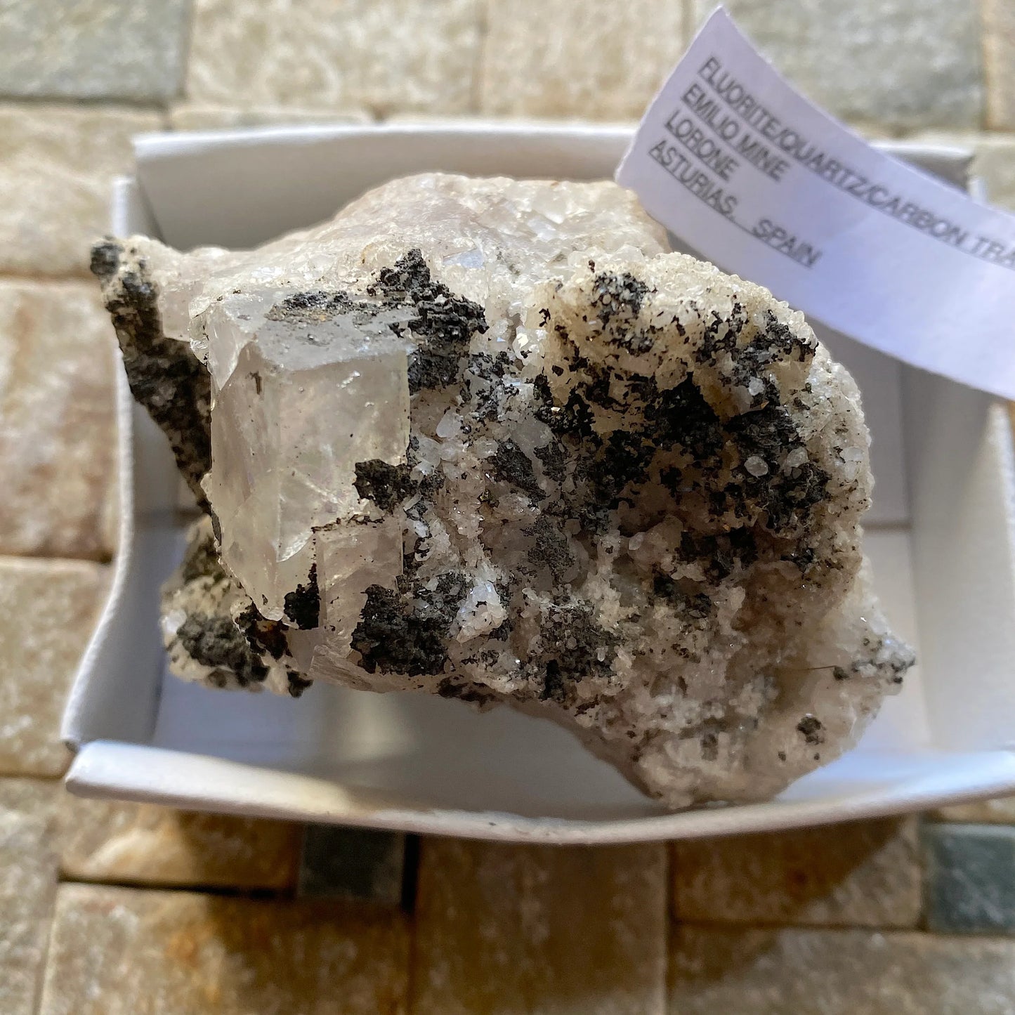 FLUORITE AVEC PYROBITUME/CARBONE RARE DE LA MINE EMILIO, ESPAGNE 154 g MF1334