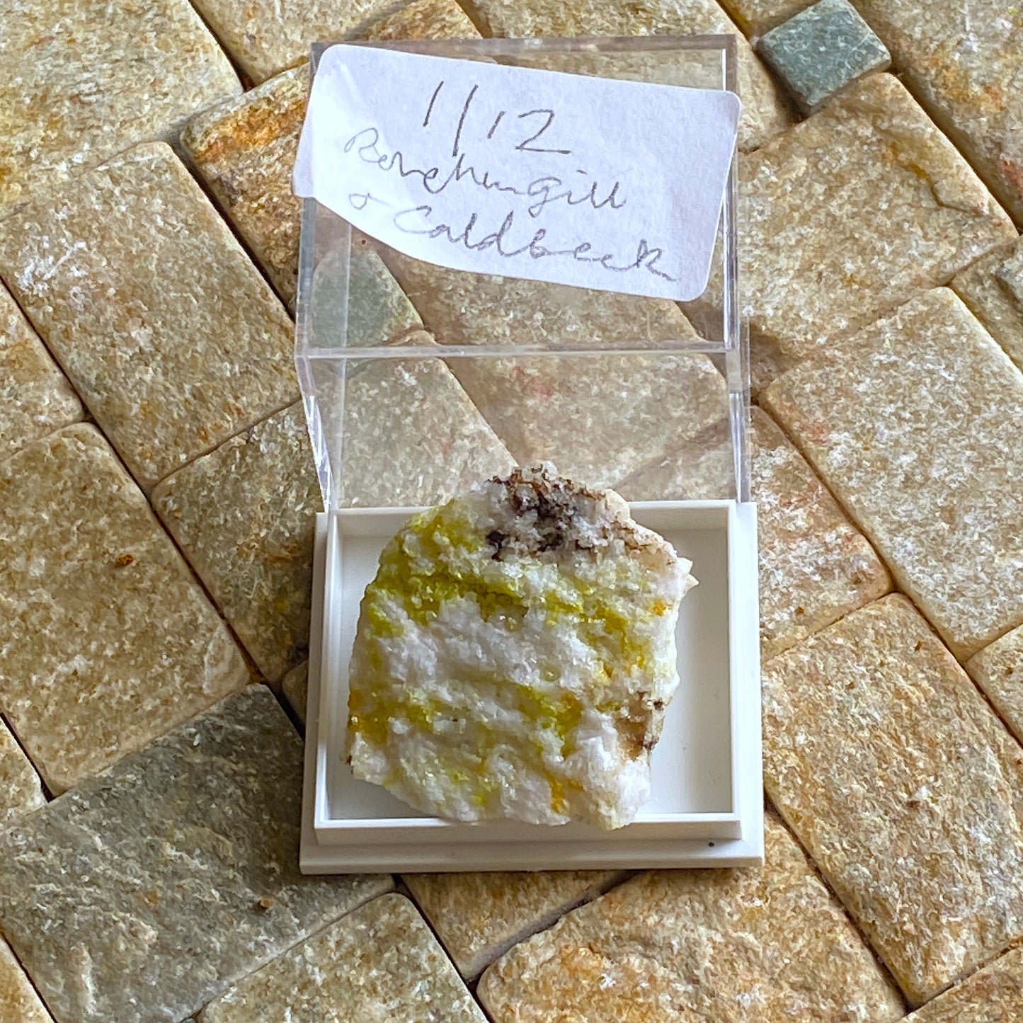 INTERESTING SPECIMEN FROM HIGHER ROUGHTON GILL, CUMBRIA. MF1811
