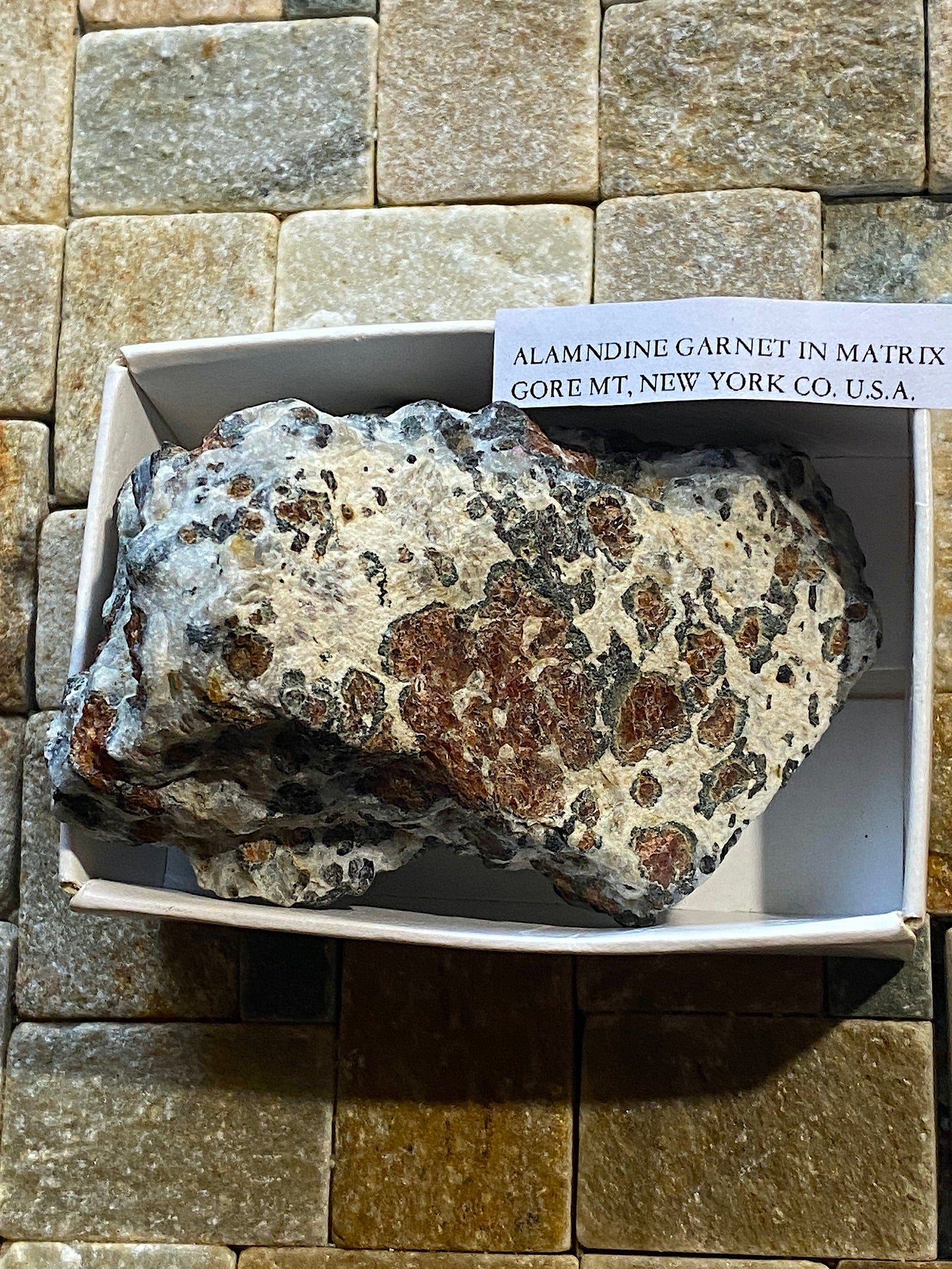 ALMANDINE GARNET IN MATRIX : GORE MOUNTAIN, THE ADIRONDACKS, NEW YORK COUNTY, U.S.A. 148g MF5030