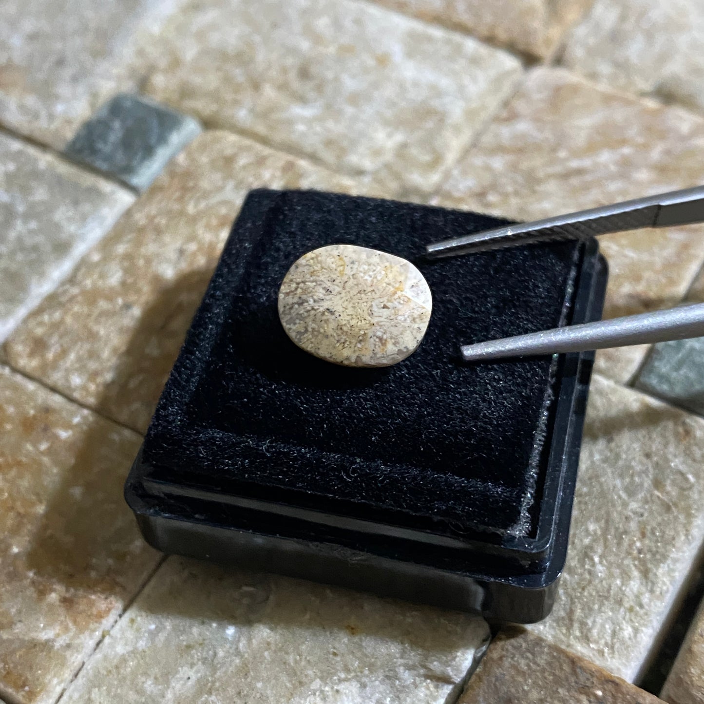 FOSSIL CORAL GEMSTONE - WESTERN SAHARA, MOROCCO, AFRICA 2.94Ct MFG5094