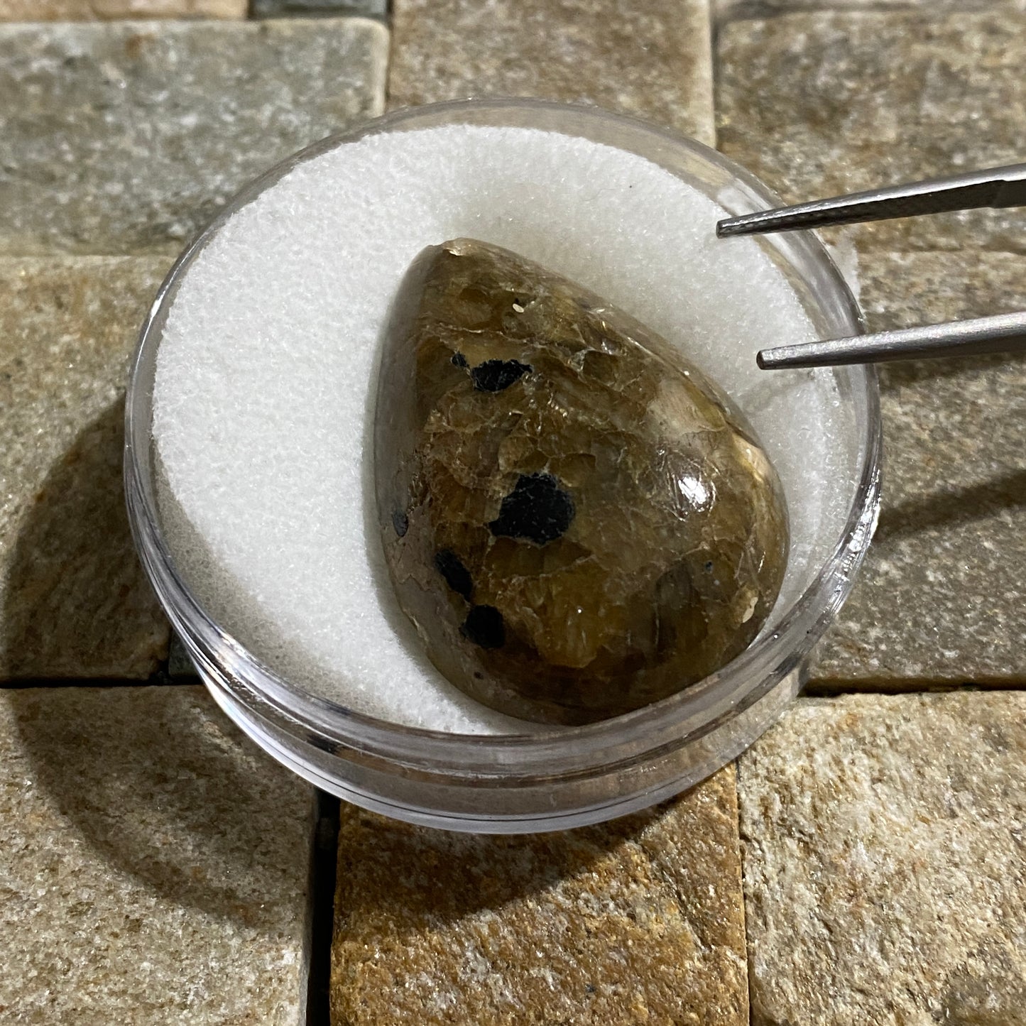 SILICIFIED CORAL GEMSTONE - ISEL OF GOTLAND, SWEDEN. 50Ct. MFG5164