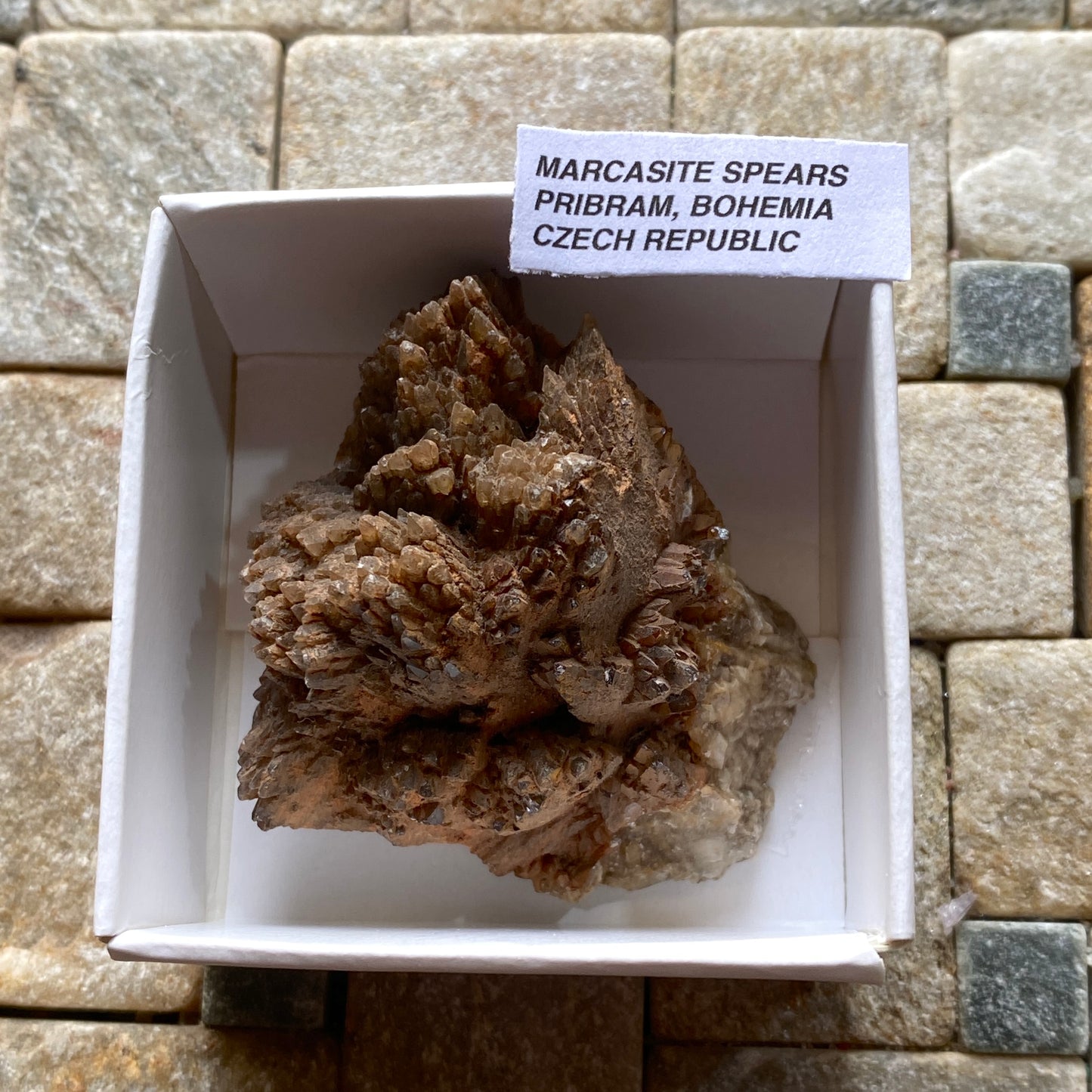 UNUSUAL SPECIMEN - MARCASITE "SPEARS" - PRIBRAM, BOHEMIA, CZECH REPUBLIC 49g MF6497