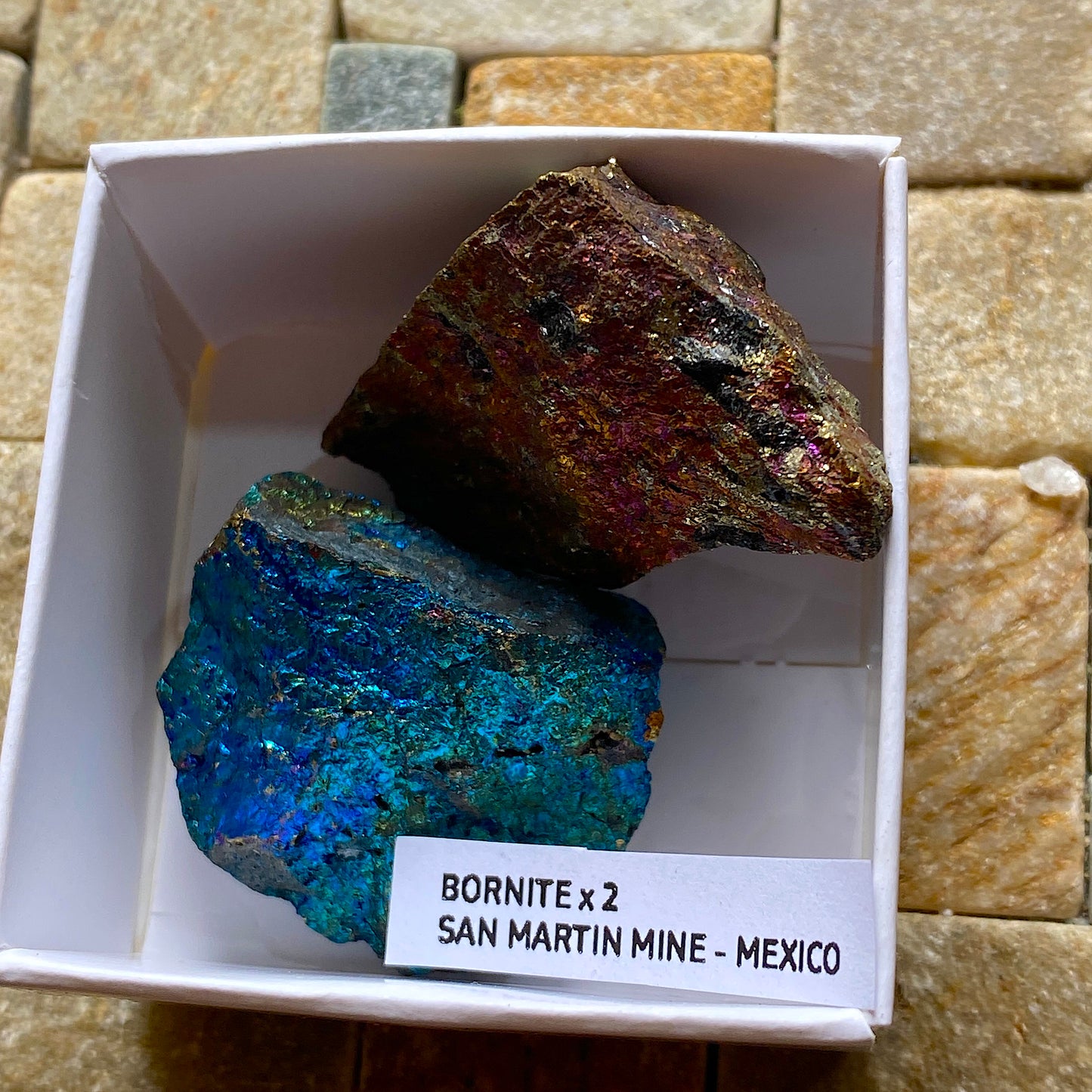 BORNITE x 2 : SAN MARTIN MINE, ZACATECAS, MEXICO. 61g. MF5085