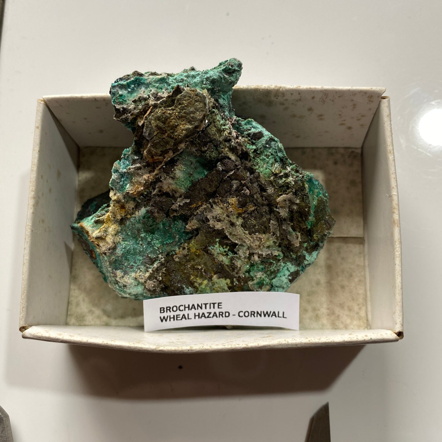 BROCHANTITE : WHEAL HAZARD, BOTALLACK, ST JUST, CORNWALL, 57g MF5088