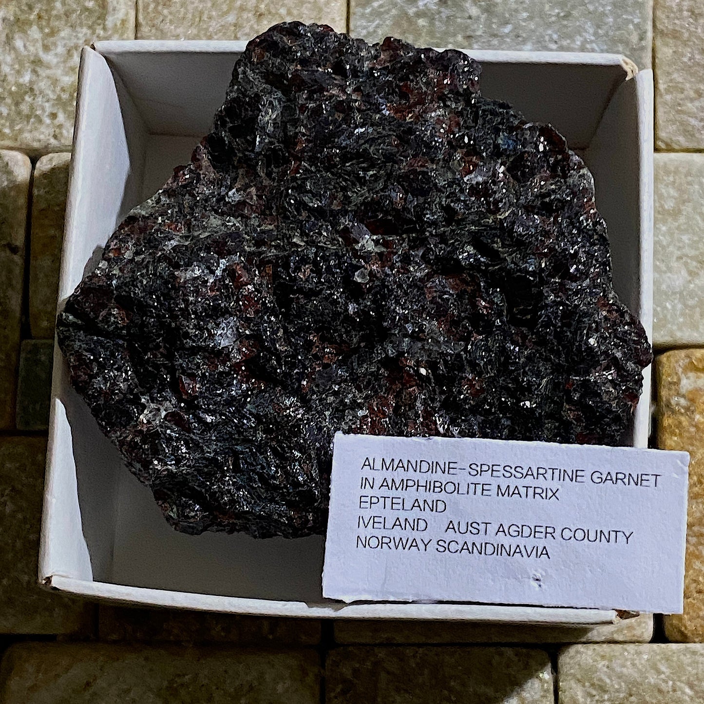 GARNET AMPHIBOLITE FROM EPTELAND, NORWAY 76g MF1456