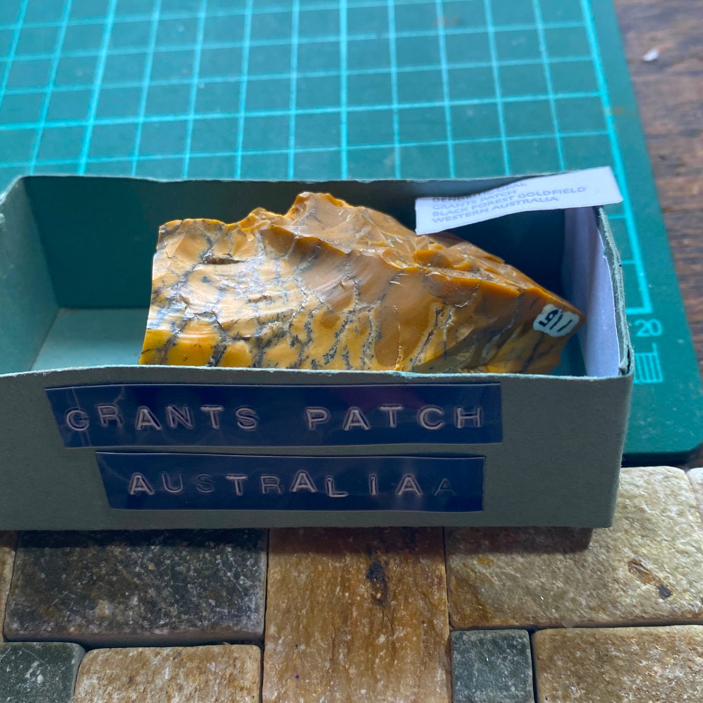 DENDRITIC OPAL - GRANTS PATCH, BLACK FLAG GOLDFIELD, AUSTRALIA 71g MF6638