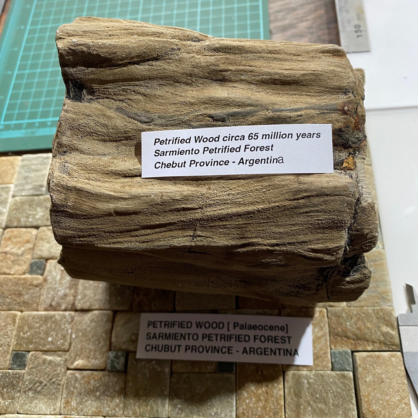 PETRIFIED WOOD - **NOW RESERVED **SARMIENTO PETRIFIED FOREST, ARGENTINA HEAVY 3090g MF4487