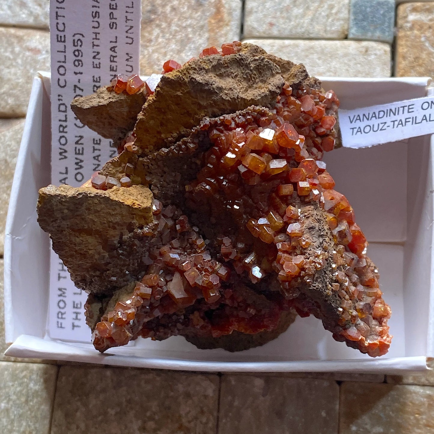 VANADINITA SOBRE SIDERITA DE TAOUZ CAIDAT, MARRUECOS 124g MF6775