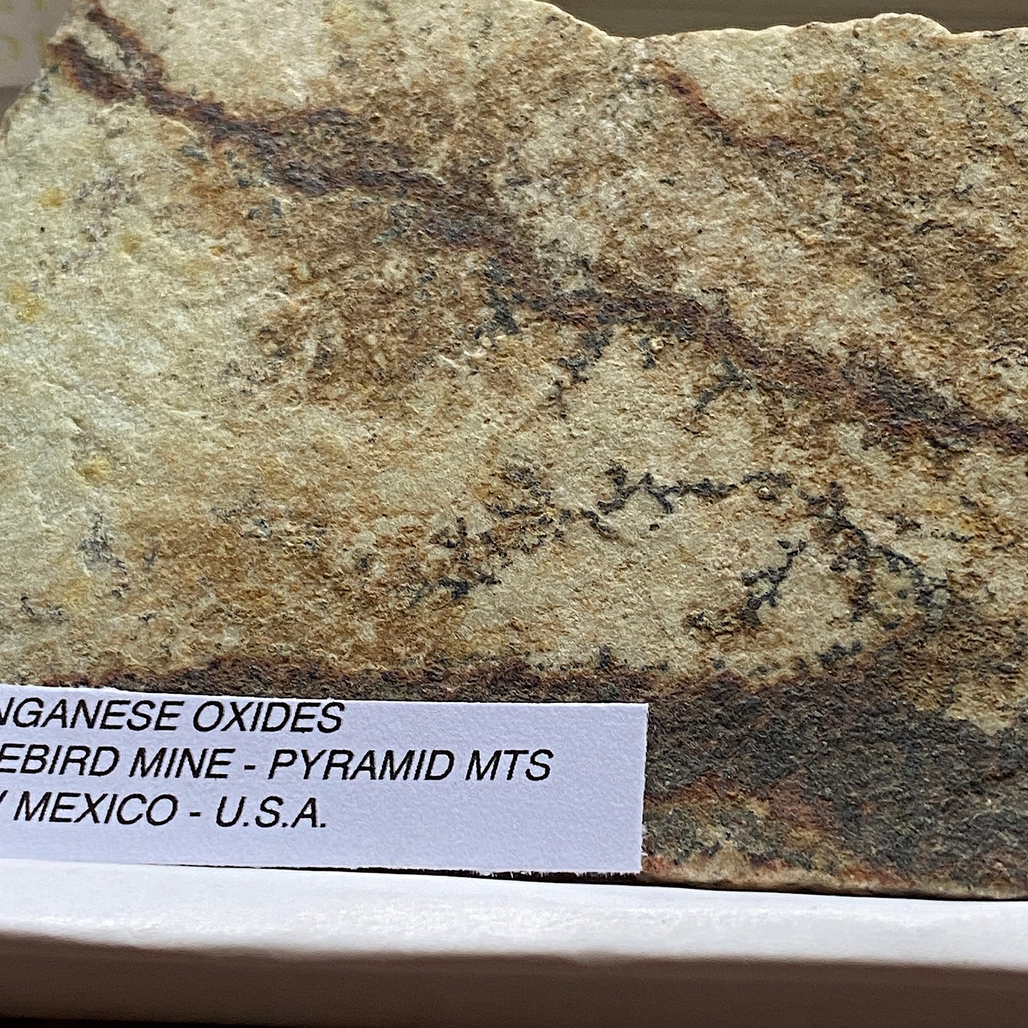 MANGANESE OXIDES WITH DENDRITES FROM BLUEBIRD MINE, USA 212g MF6734