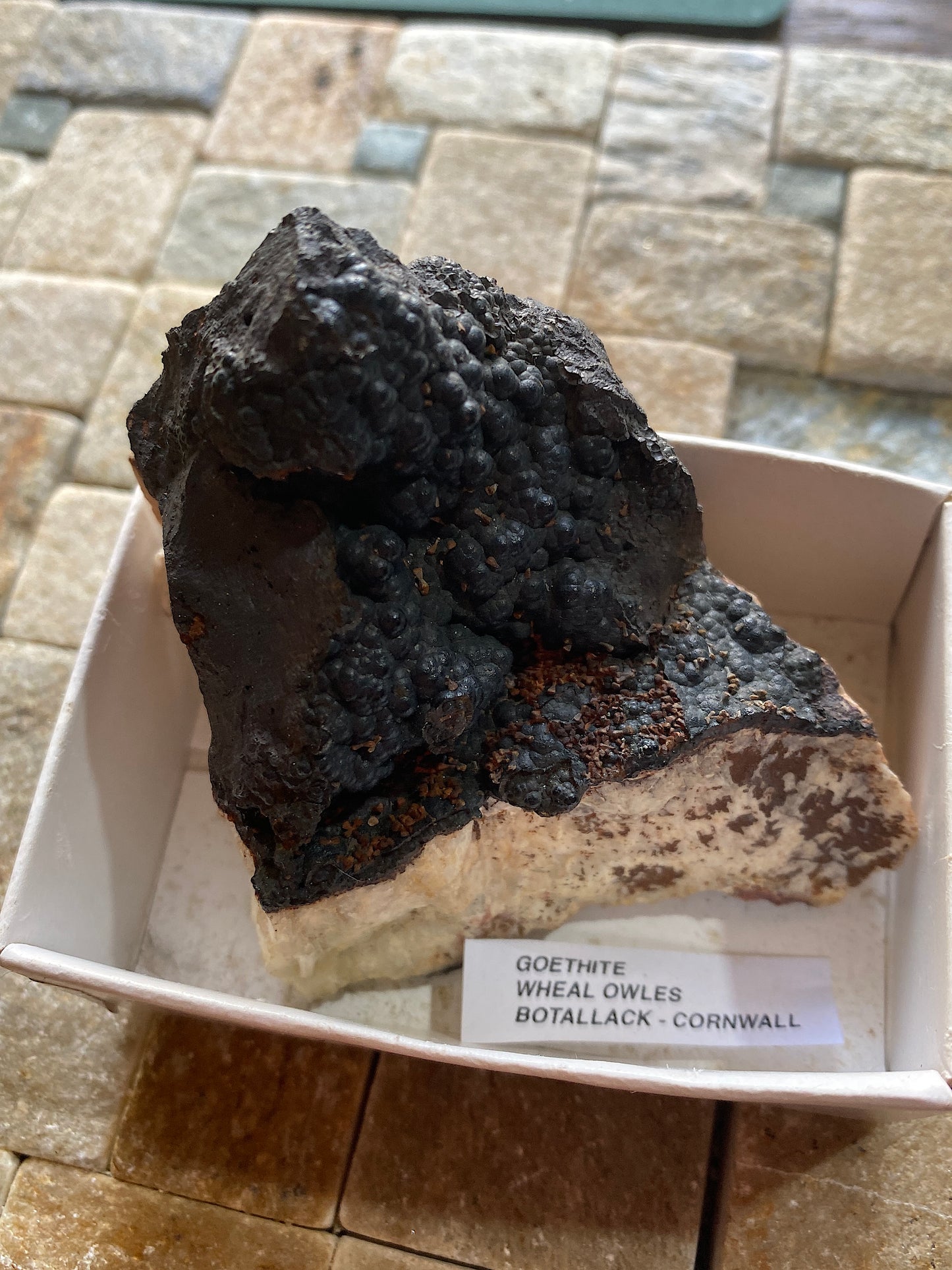 GOETHITE : WHEAL OWLES, BOTALLACK, CORNWALL, ENGLAND 186g MF5163