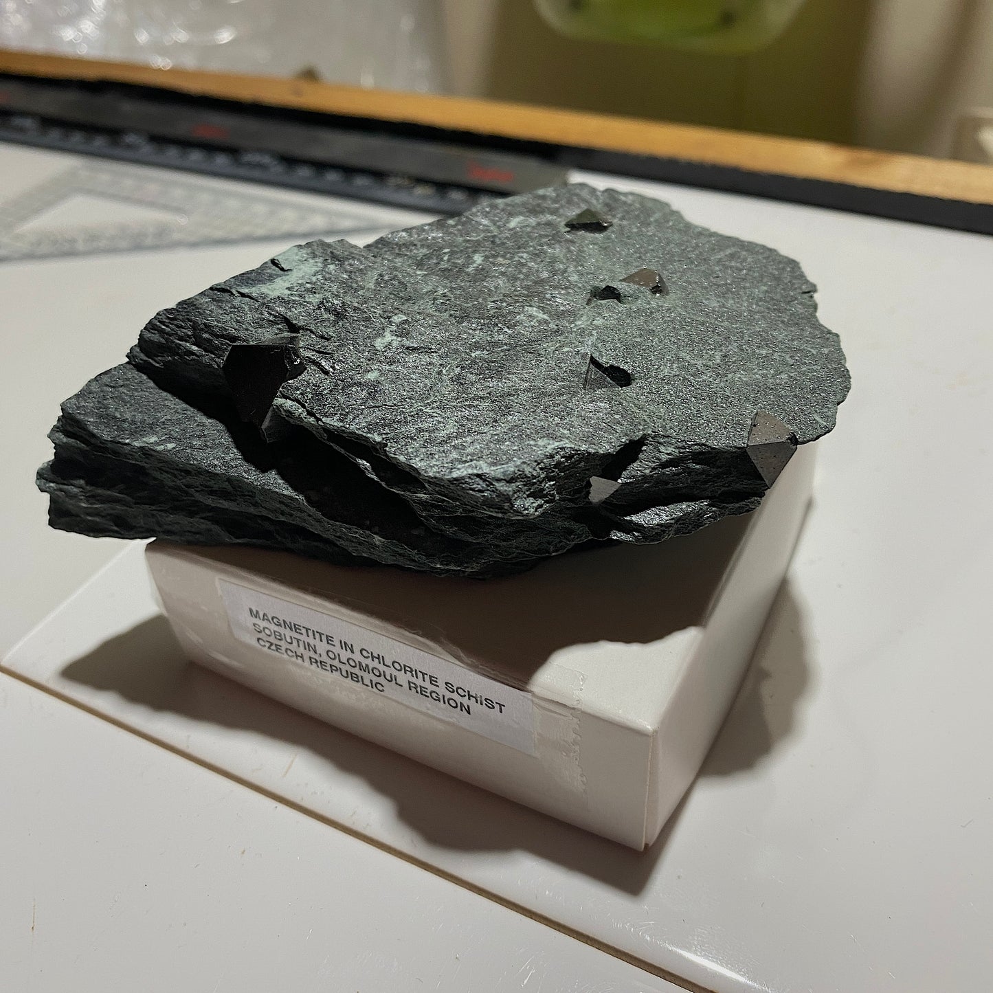 MAGNETITE CRYSTALS IN CHLORITE SCHIST : SOBUTIN, OLOMOUL REGION, CZECH REPUBLIC 302g MF4525