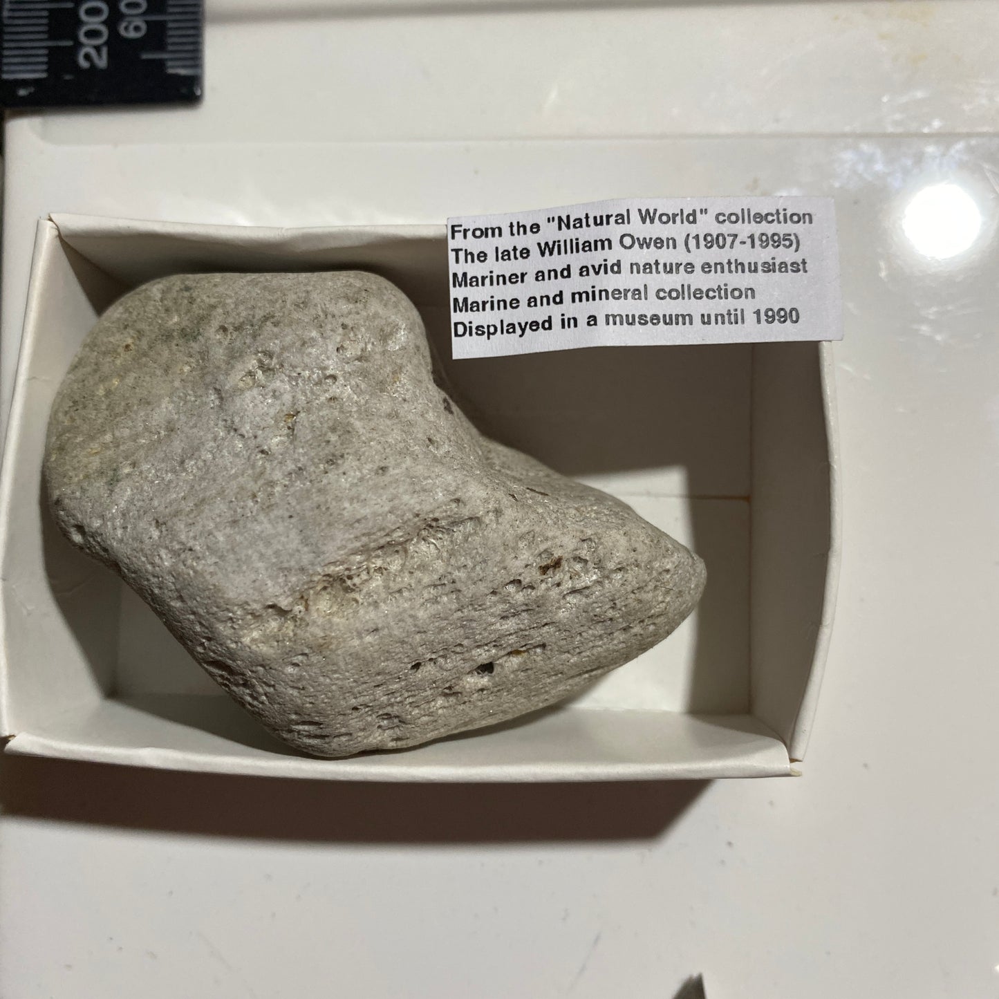 PUMICE VOLCANIC EJECTA : PUYEHUE, OSORNO, LOS LAGOS, CHILE 29g MF4528