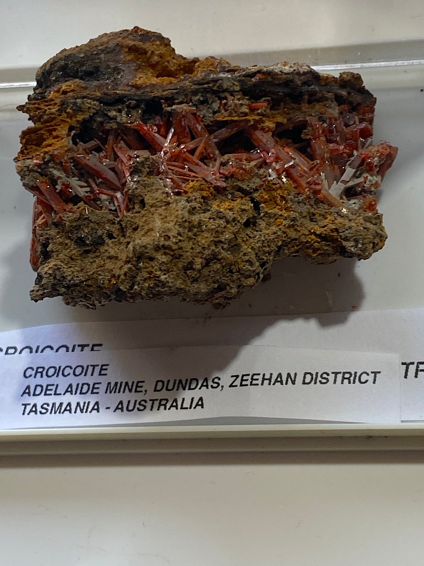 CROCOITE : ADELAIDE MINE, TASMANIA, AUSTRALIA. 37g. MF5172