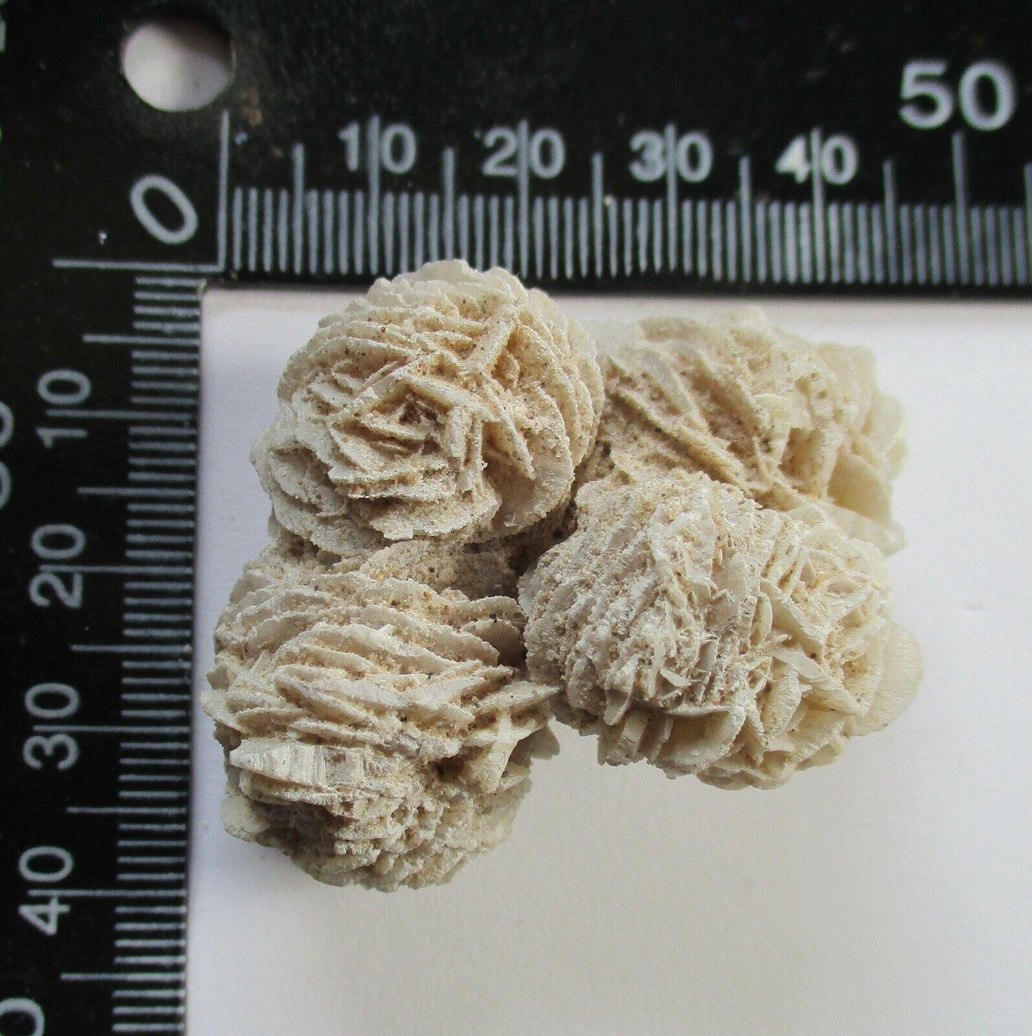 MINERAL SPECIMEN GYPSUM DESERT ROSE FROM MEXICO 26g MF3523