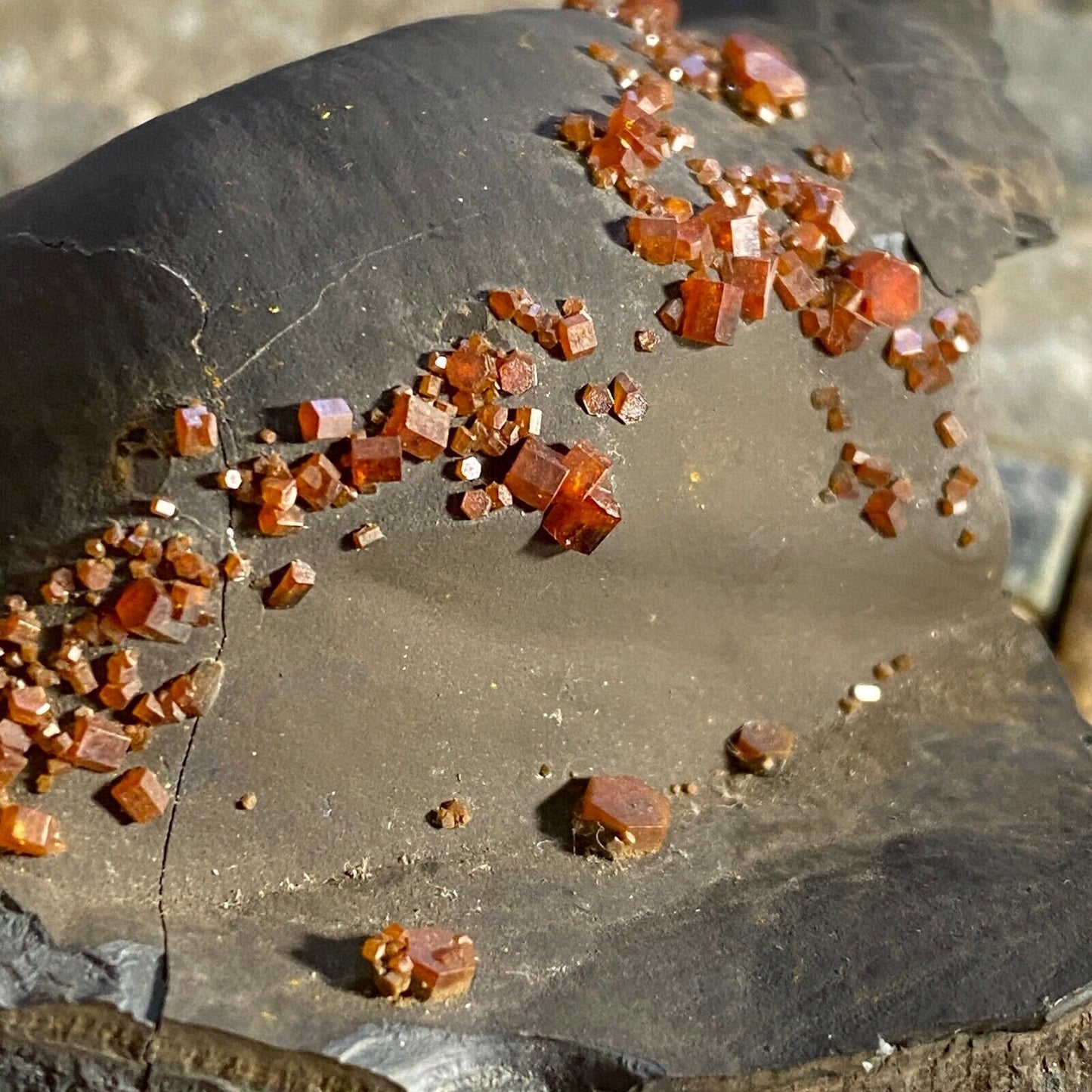 VANADINITE ON GOETHITE FROM FOUR MAN MINE MOROCCO 388g MF3973