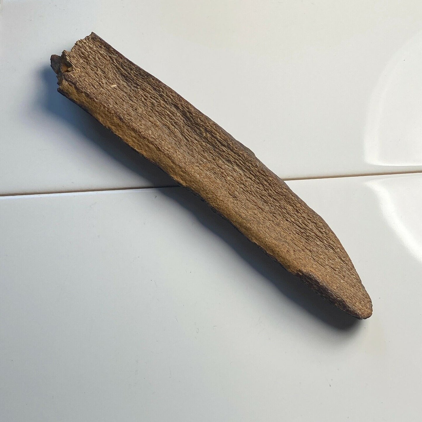 PETRIFIED WOOD FROM KASKORB, BELGIUM. 114g MF6459