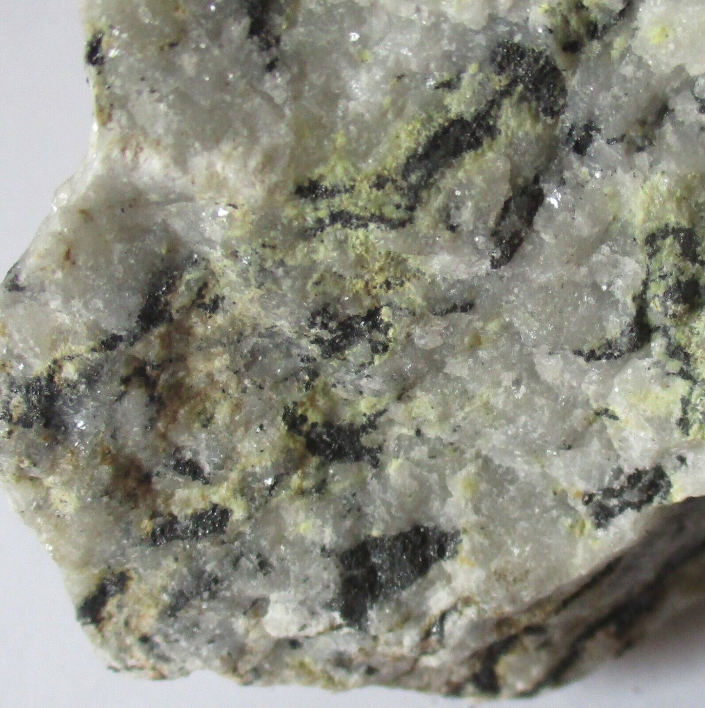 MAGNETITE & SERPENTINE IN DOLOMITE 446g FROM LANGBAN, SWEDEN MF9876