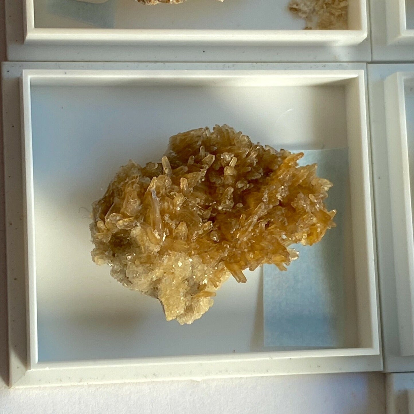 BARYTE x 10 CASED MUSEUM SPECIMENS ALL FROM PORTLAND DORSET ENGLAND MF6097