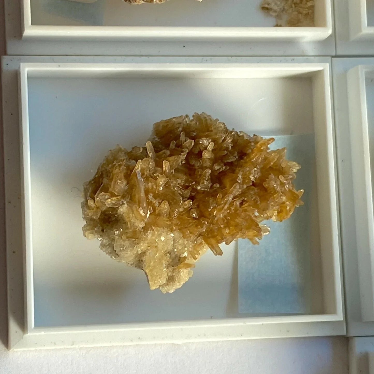 BARYTE x 10 CASED MUSEUM SPECIMENS ALL FROM PORTLAND DORSET ENGLAND MF6097