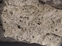 PUMICE