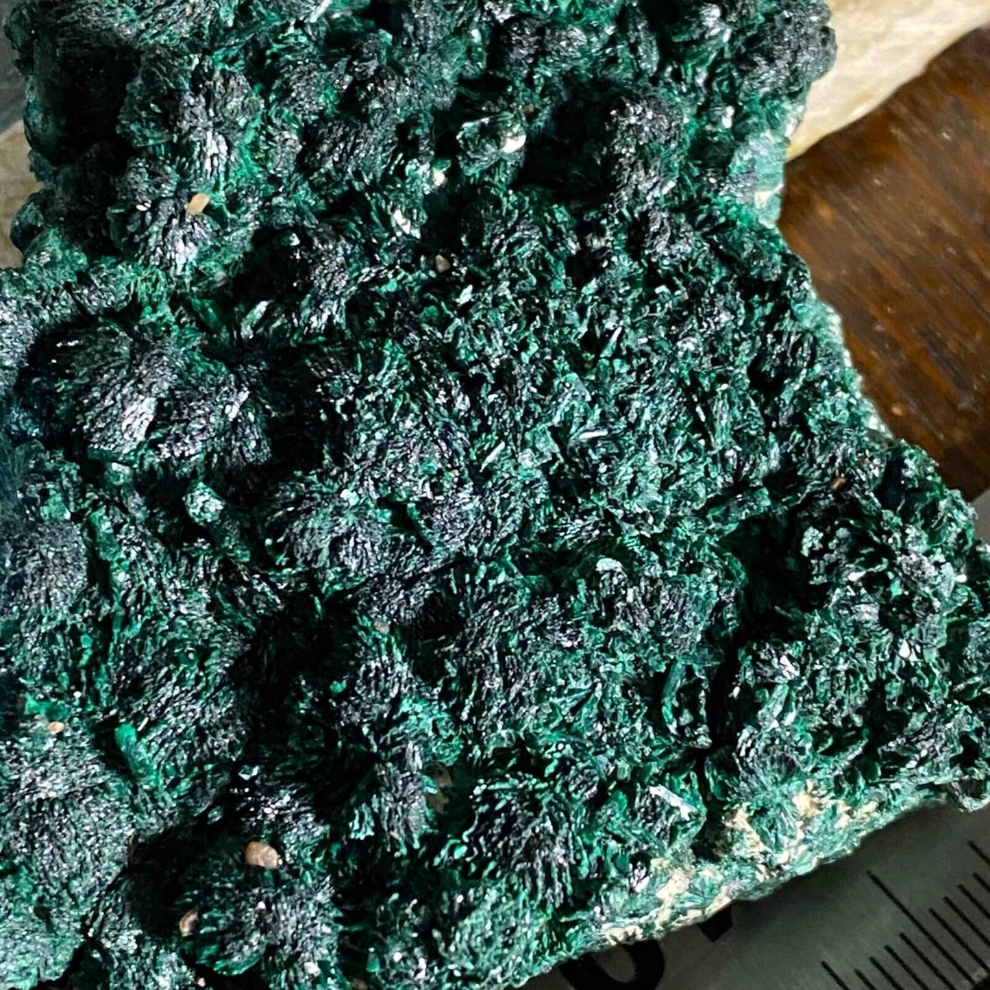 ATACAMITE IMPRESSIVE TYPE LOCALITY SPECIMEN 97g MF1125