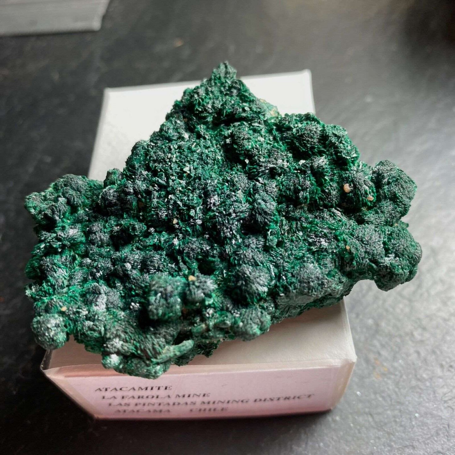 ATACAMITE IMPRESSIVE TYPE LOCALITY SPECIMEN 97g MF1125