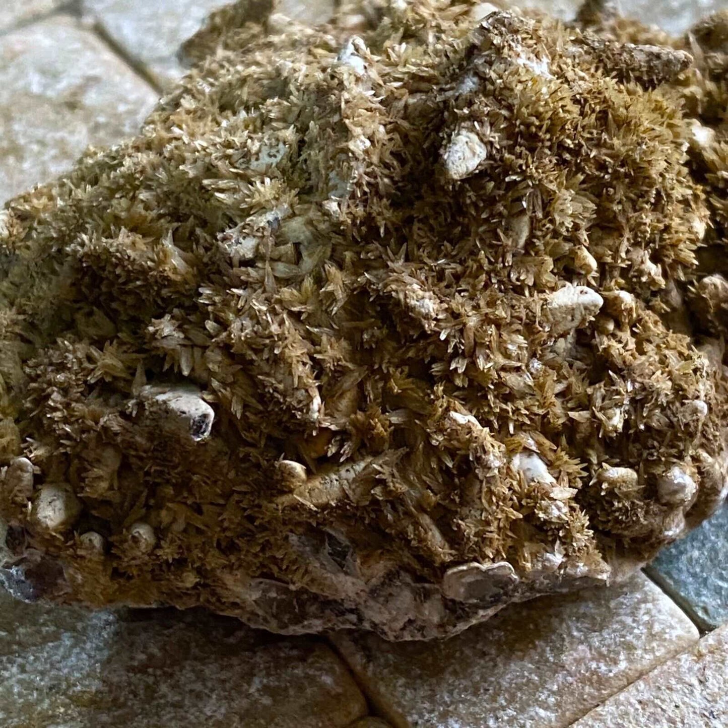 ARAGONITE & CALCITE FROM HEIGHTS QUARRY, WEARDALE. 123g MF1258