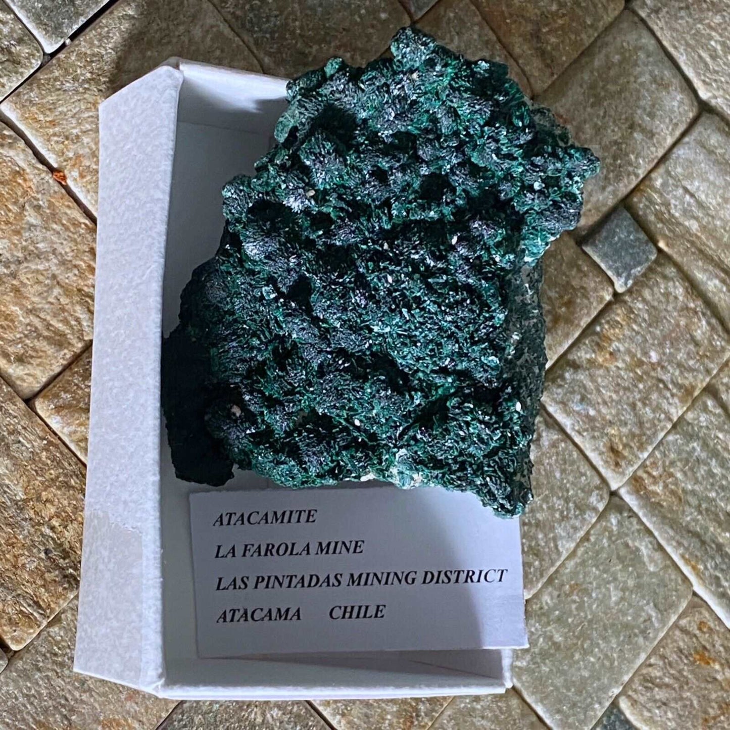 ATACAMITE IMPRESSIVE TYPE LOCALITY SPECIMEN 97g MF1125