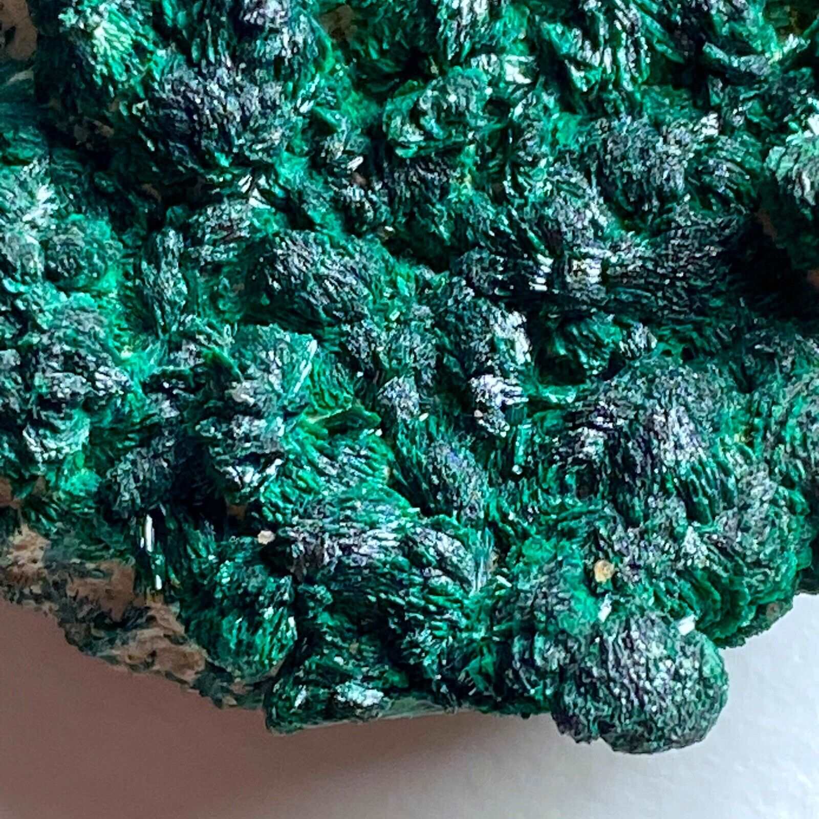 ATACAMITE IMPRESSIVE TYPE LOCALITY SPECIMEN 97g MF1125