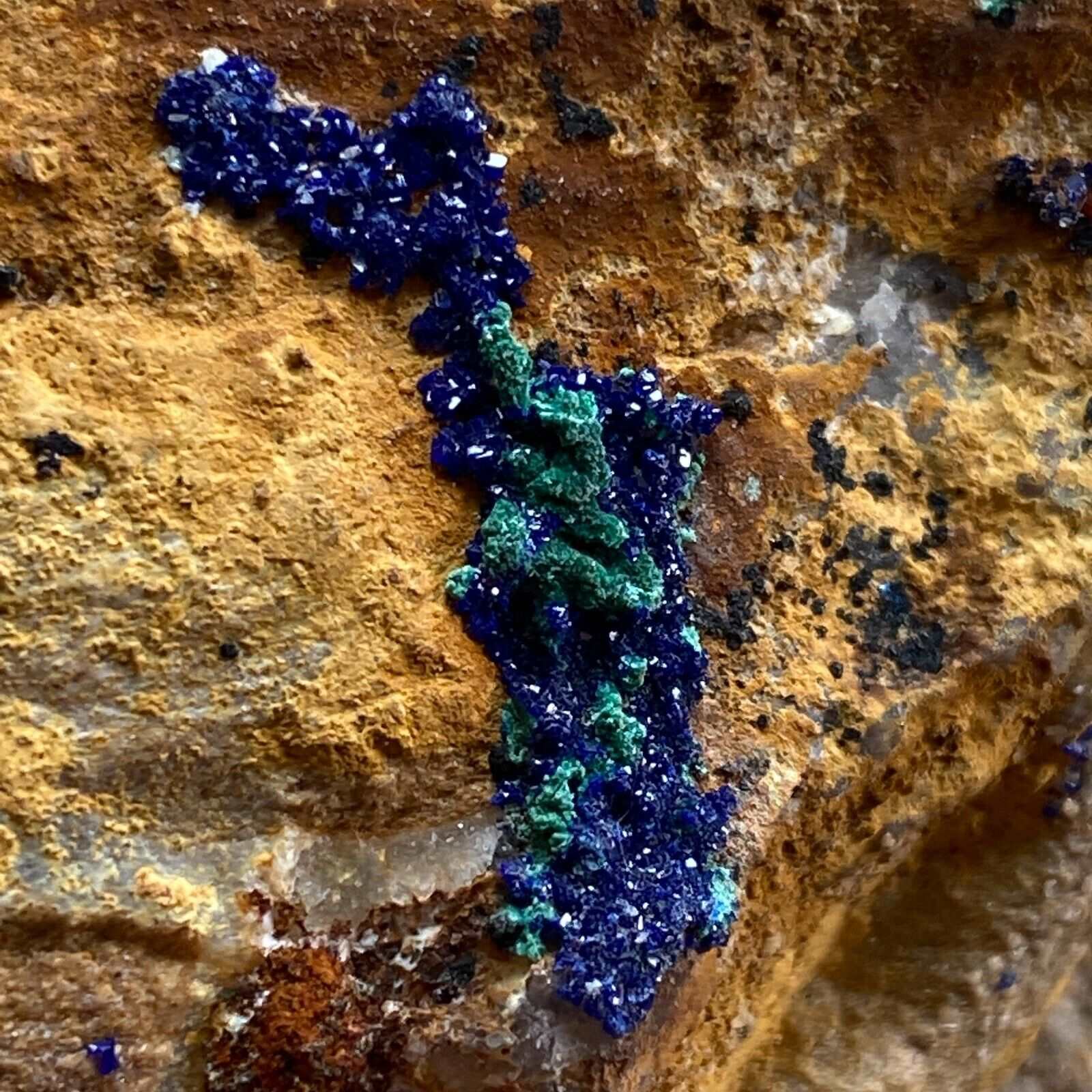 AZURITE & MALACHITE ON MATRIX FROM LIMA, PERU 242G MF9555