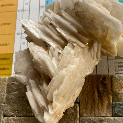 BARITE FROM DREISLER, GERMANY 622g MF3978