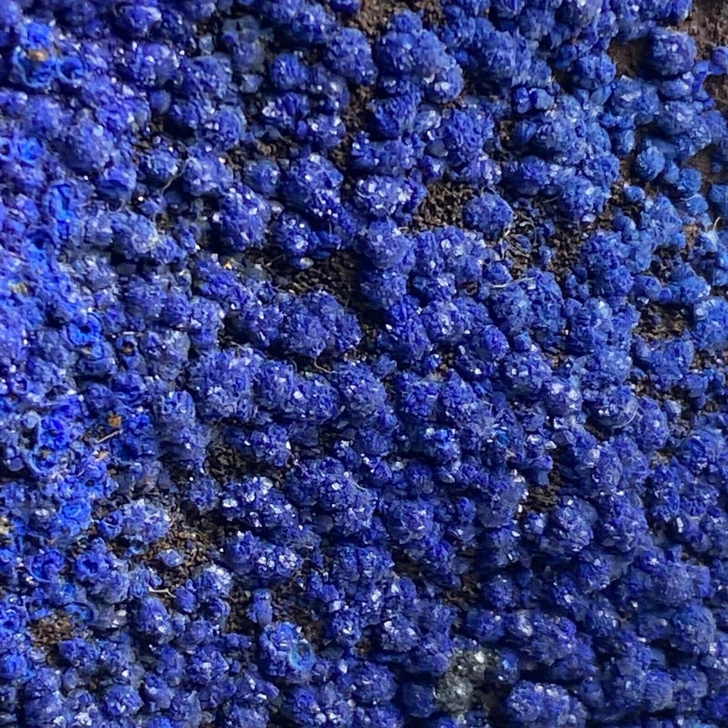 AZURITE ON MATRIX FROM MOROCCO 432g MF3959