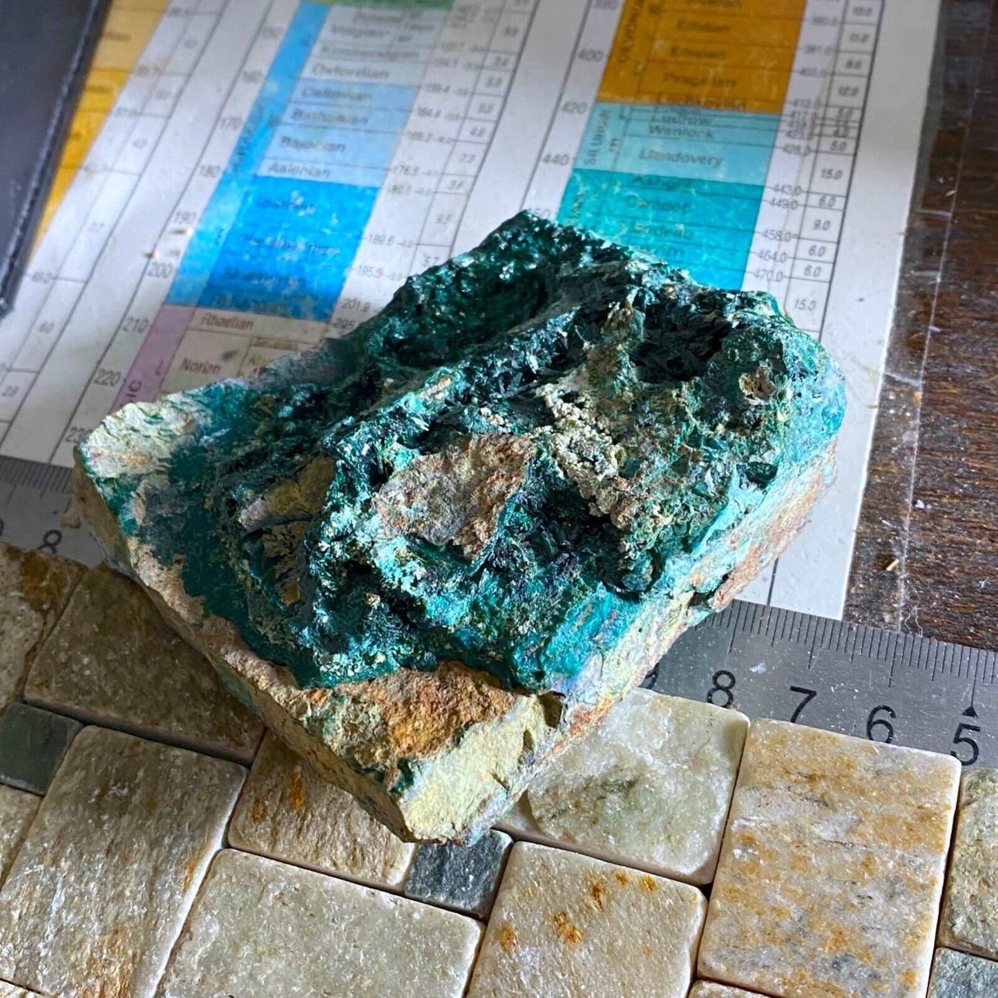 ATACAMITE WITH LIBETHENITE FROM ATACAMA, CHILE 233g MF758