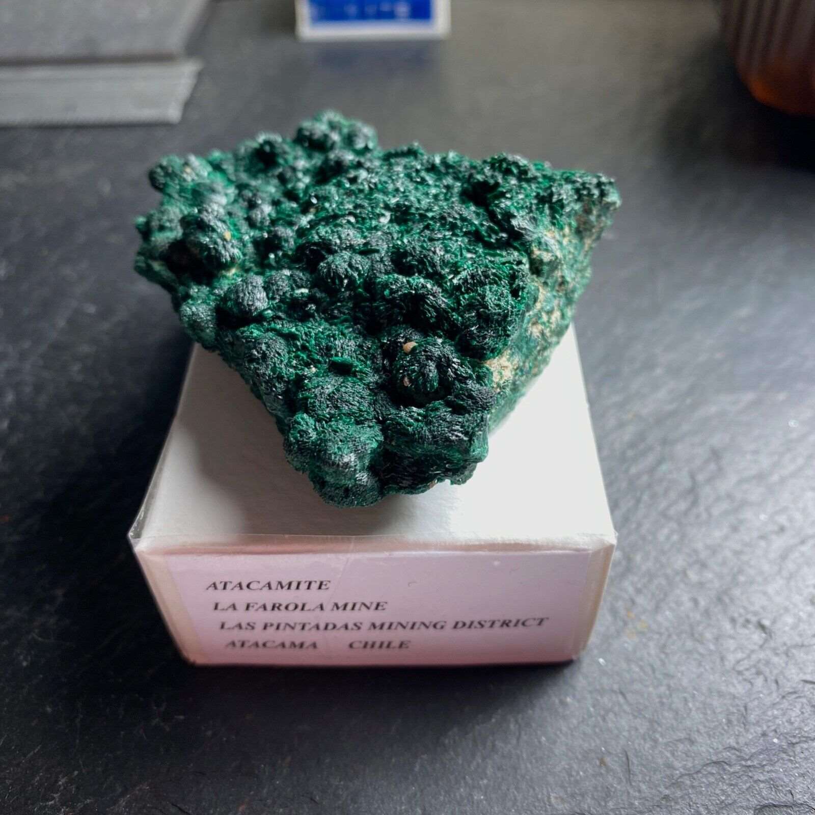 ATACAMITE IMPRESSIVE TYPE LOCALITY SPECIMEN 97g MF1125