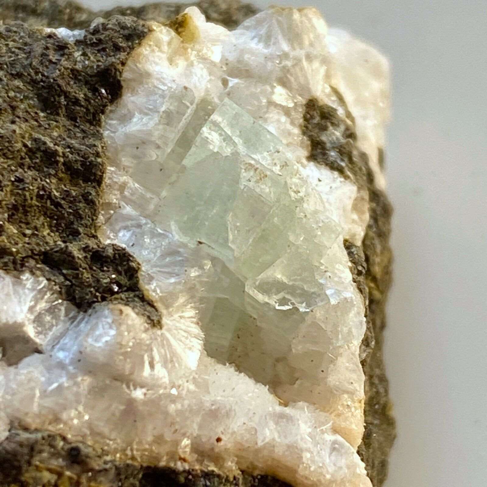 APOTHYLITE & THOMSONITE ON MATRIX FROM SCOTLAND  MF181