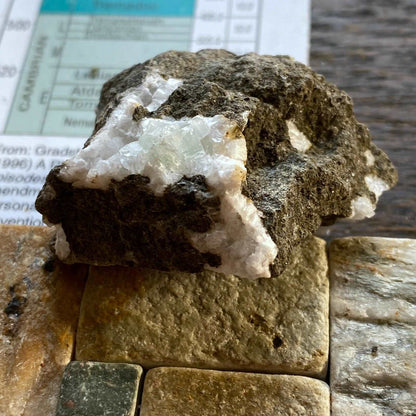 APOTHYLITE & THOMSONITE ON MATRIX FROM SCOTLAND  MF181