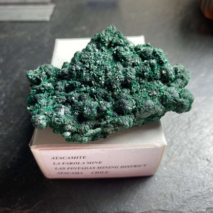 ATACAMITE IMPRESSIVE TYPE LOCALITY SPECIMEN 97g MF1125