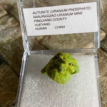 AUTUNITE (URANYL PHOSPHATE) FROM HUNAN CHINA. 3g MF1372