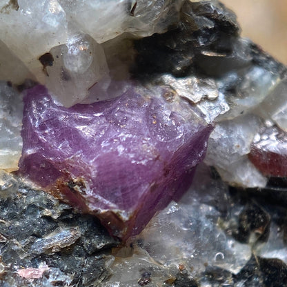 RUBY CORUNDUM IN MATRIX : KHIT OSTROV, KARENA, RUSSIA. 52g vMF5193
