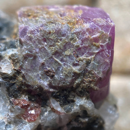 RUBY CORUNDUM IN MATRIX : KHIT OSTROV, KARENA, RUSSIA. 52g vMF5193