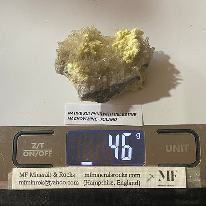 NATIVE SULPHUR WITH CELESTINE : MACHOW MINE, TARNOBRZEG, POLAND 46g MF5195
