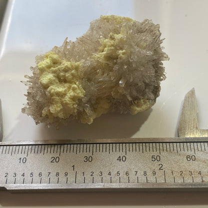NATIVE SULPHUR WITH CELESTINE : MACHOW MINE, TARNOBRZEG, POLAND 46g MF5195