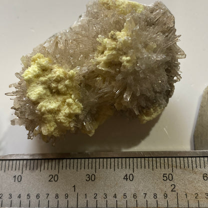NATIVE SULPHUR WITH CELESTINE : MACHOW MINE, TARNOBRZEG, POLAND 46g MF5195